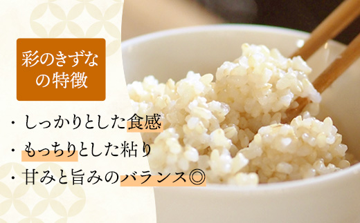 令和7年産【彩のきずな】玄米20kg 色彩選別済 Brown Rice - お米 米 ごはん 玄米 20kg 埼玉県 幸手市