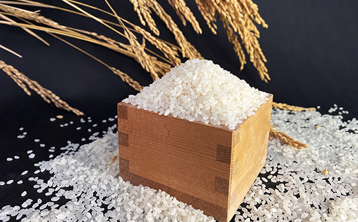 【令和7年産米】幻のお米 日本一美味 と言われた 白目米 5kg - お米 白米 精米 御納米 ごはん 甘み カレー ピラフ 安心 安全 おすすめ 送料無料 埼玉県 幸手市