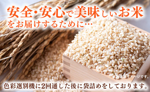 令和7年産 開運米 コシヒカリ 【玄米】（減農薬）幸手産 - 5kg×2袋 10kg こしひかり 福祉 応援 安心 安全 埼玉県 幸手市 幸手市産 コシヒカリ【玄米】10kg（5kg×2袋）