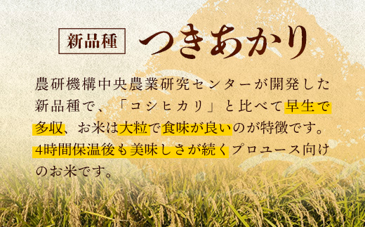 令和7年産 開運米 つきあかり（無洗米）幸手産 - 5kg×2袋 10kg 福祉 応援 安心 安全 埼玉県 幸手市 幸手市産 開運米 つきあかり【無洗米】10kg（5kg×2袋）