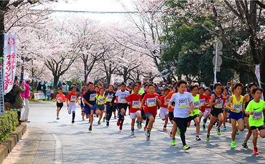 第33回幸手市さくらマラソン大会出走権（駐車券付）（種目：10km） - チケット 券 マラソン エントリー スポーツ 運動 ランナー 参加 桜 春 埼玉県 幸手市
