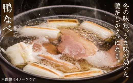 最高食材『国産あい鴨正肉セット』-国産 あい鴨 合鴨 ヘルシー 正肉 鴨鍋 鴨焼き 鴨南蛮 バーベキュー アレンジ 色々 おすすめ ダキ肉 だき身 もも肉 モモ肉 むね肉 胸肉 オススメ プチ贅沢 クリスマス お正月 パーティー 浜田商店 埼玉県 幸手市