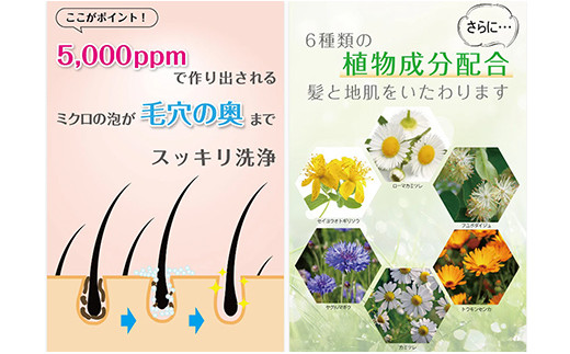 KIREIN 炭酸シャンプー 3本セット - 無添加 しっとり 高保湿 スッキリ 癒し シャンプー 炭酸シャンプー ヘッドスパ 植物成分 ダメージケア KIREIN 3本　¥31,000