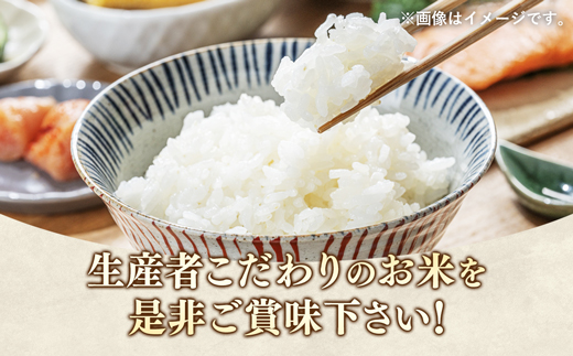 【令和7年産】無農薬・無化学肥料栽培 埼玉県幸手市産特別栽培コシヒカリ 「幸ヒカリ」精米5kg - 新米発送 コシヒカリ こしひかり 米 精米 5kg 特別栽培米 幸手市産 埼玉県 幸手市