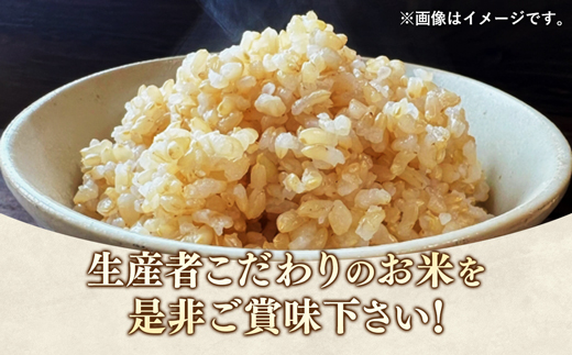 【令和7年産】無農薬・無化学肥料栽培 埼玉県幸手市産特別栽培コシヒカリ 「幸ヒカリ」玄米5kg - 新米発送 コシヒカリ こしひかり 米 玄米 5kg 特別栽培米 幸手市産 埼玉県 幸手市