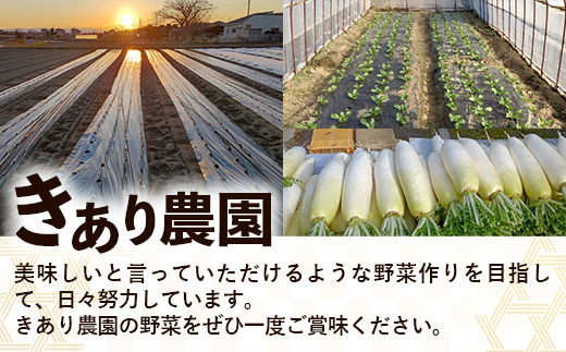【きあり農園】2026年度 幸手市産 にんにく 1kg - 採れたて ニンニク ガーリック 産地直送 野菜 ベジタブル 美味しい おいしい 根菜 スタミナ 大蒜 生にんにく 国産 おすすめ 送料無料 埼玉県 幸手市