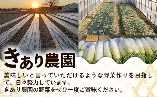 【きあり農園】幸手市産 かぼちゃ 約10kg - カボチャ 南瓜 くり大将 くり将軍 産地直送 野菜 ベジタブル 美味しい おいしい 緑黄色野菜 大容量 国産 おすすめ 送料無料 埼玉県 幸手市