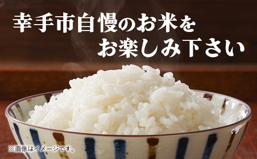 令和7年幸手産 こしひかり【精米】5㎏×1袋 - コシヒカリ 精米 5kg 令和7年産 埼玉県 幸手市 幸手市産