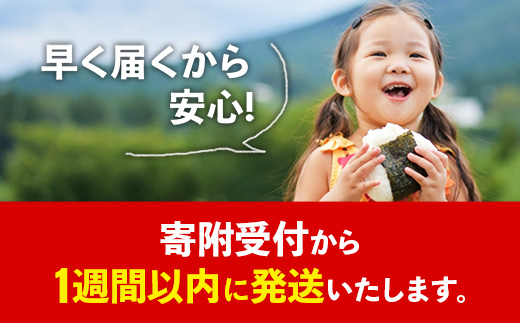 令和7年産【彩のきずな】白米10kg 色彩選別済 White Rice- お米 米 ごはん 精米 10kg 埼玉県 幸手市