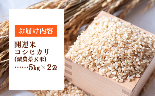 令和7年産 開運米 コシヒカリ 【玄米】（減農薬）幸手産 - 5kg×2袋 10kg こしひかり 福祉 応援 安心 安全 埼玉県 幸手市 幸手市産 コシヒカリ【玄米】10kg（5kg×2袋）
