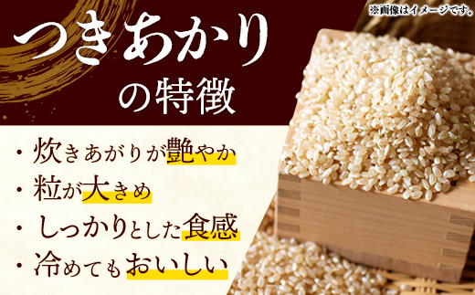 令和7年産 開運米 つきあかり（玄米）幸手産 - 5kg×2袋 10kg 福祉 応援 安心 安全 埼玉県 幸手市 幸手市産 開運米 つきあかり【玄米】10kg（5kg×2袋）