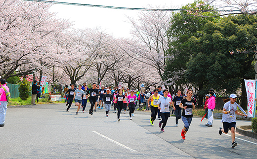第33回幸手市さくらマラソン大会出走権（駐車券付）（種目：10km） - チケット 券 マラソン エントリー スポーツ 運動 ランナー 参加 桜 春 埼玉県 幸手市