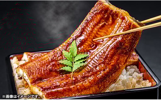 こだわりの柔らかうなぎ蒲焼【並】２枚 - やわらか ふわとろ 湯煎 簡単 老舗の味 うなぎ 蒲焼き １尾 2枚 秘伝 タレ おすすめ 白米 相性 抜群 とろける 柔らかさ オススメ 埼玉県 幸手市 プチ贅沢 クリスマス お正月 パーティー