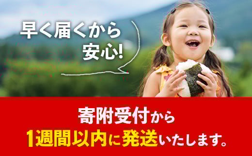 令和7年産 幸手市産 コシヒカリ 白米10kg 色彩選別済 White Rice- お米 米 こしひかり 精米 10kg 埼玉県 幸手市