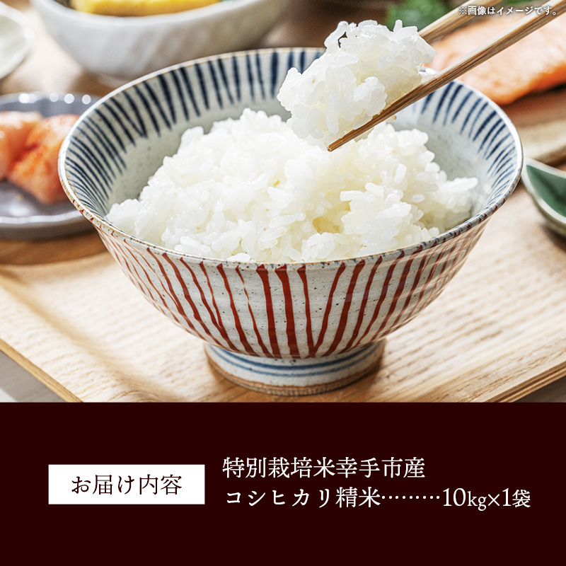 【令和7年産】無農薬・無化学肥料栽培 埼玉県幸手市産特別栽培コシヒカリ 「幸ヒカリ」精米10kg - 新米発送 コシヒカリ こしひかり 米 精米 10kg 特別栽培米 幸手市産 埼玉県 幸手市