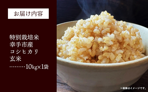 【令和7年産】無農薬・無化学肥料栽培 埼玉県幸手市産特別栽培コシヒカリ 「幸ヒカリ」玄米10kg - 新米発送 コシヒカリ こしひかり 米 玄米 10kg 特別栽培米 幸手市産 埼玉県 幸手市