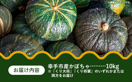 【きあり農園】幸手市産 かぼちゃ 約10kg - カボチャ 南瓜 くり大将 くり将軍 産地直送 野菜 ベジタブル 美味しい おいしい 緑黄色野菜 大容量 国産 おすすめ 送料無料 埼玉県 幸手市