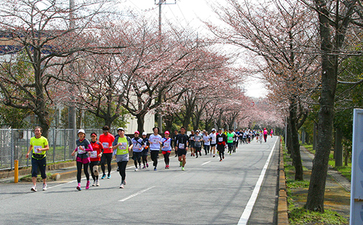 第33回幸手市さくらマラソン大会出走権（駐車券付）（種目：10km） - チケット 券 マラソン エントリー スポーツ 運動 ランナー 参加 桜 春 埼玉県 幸手市