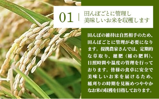 令和7年産 幸手市産 コシヒカリ 白米27kg 色彩選別済 White Rice - お米 米 こしひかり 精米 27kg 埼玉県 幸手市
