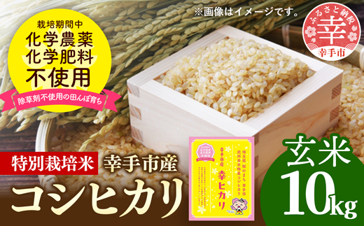【令和7年産】無農薬・無化学肥料栽培 埼玉県幸手市産特別栽培コシヒカリ 「幸ヒカリ」玄米10kg - 新米発送 コシヒカリ こしひかり 米 玄米 10kg 特別栽培米 幸手市産 埼玉県 幸手市