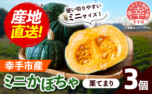 【きあり農園】幸手市産 ミニかぼちゃ 3個 - カボチャ 南瓜 栗てまり 産地直送 野菜 ベジタブル 美味しい おいしい 緑黄色野菜 使いやすい 国産 おすすめ 送料無料 埼玉県 幸手市