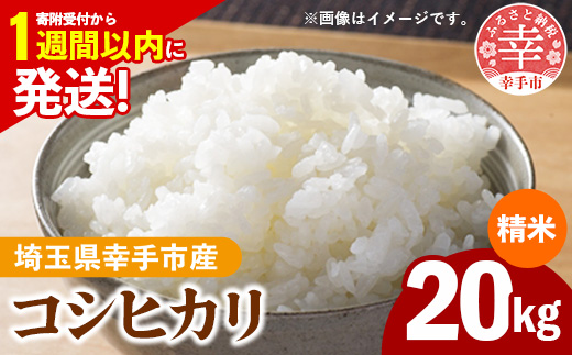 令和7年産 幸手市産 コシヒカリ 白米20kg 色彩選別済 White Rice- お米 米 こしひかり 精米 20kg 埼玉県 幸手市