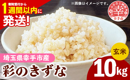 令和7年産【彩のきずな】玄米10kg 色彩選別済 Brown Rice - お米 米 ごはん 玄米 10kg 埼玉県 幸手市