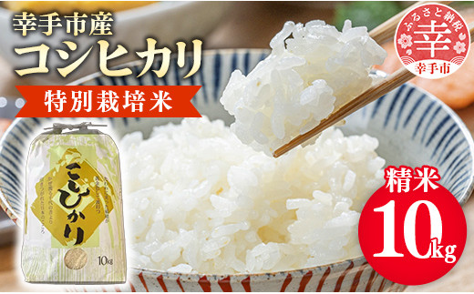 【令和7年産】有機肥料100％ 埼玉県幸手市産特別栽培コシヒカリ 精米10kg -2025年10月1週目より順次発送 新米発送 コシヒカリ こしひかり 米 精米 10kg 有機肥料 特別栽培米 幸手市産 埼玉県 幸手市
