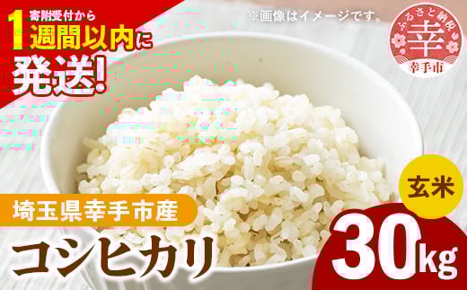 令和7年産 幸手市産 コシヒカリ 玄米30kg 色彩選別済 Brown Rice - お米 米 こしひかり 玄米 30kg 埼玉県 幸手市