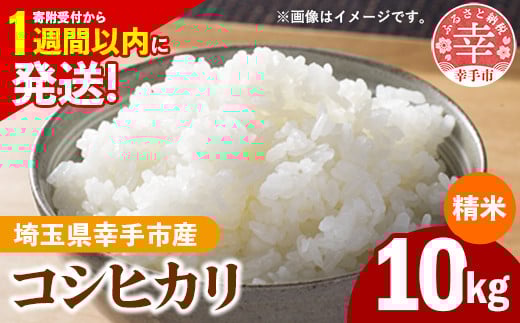 令和7年産 幸手市産 コシヒカリ 白米10kg 色彩選別済 White Rice- お米 米 こしひかり 精米 10kg 埼玉県 幸手市