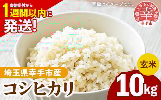 令和7年産 幸手市産 コシヒカリ 玄米10kg 色彩選別済 Brown Rice - お米 米 こしひかり 玄米 10kg 埼玉県 幸手市