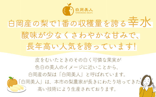 小川なし園の梨　幸水　5kg　【11246-0274】