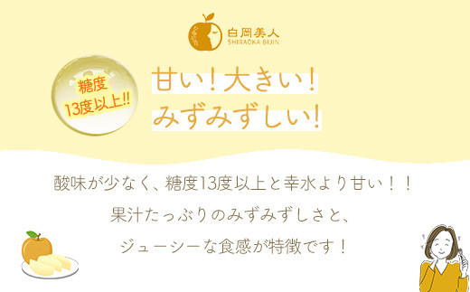 小川なし園の彩玉　5kg　【11246-0280】
