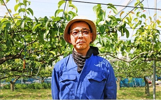 【2026年発送分 先行予約】  白岡・下野田 斎藤さんちの美味しい梨 幸水　約5kg　【11246-0360】