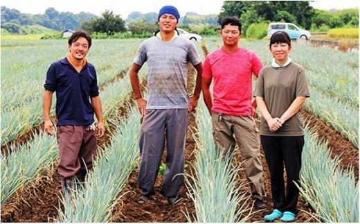 【詰め放題】ねぎセルフ収穫体験参加券（R8/1/10（土）～1/18（日））　【11246-0115】