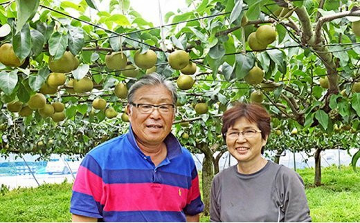 【先行予約】果汁したたる榎本梨園自慢の完熟梨　豊水5玉（4L～5L）【2025年9月上旬より発送】　【11246-0144】