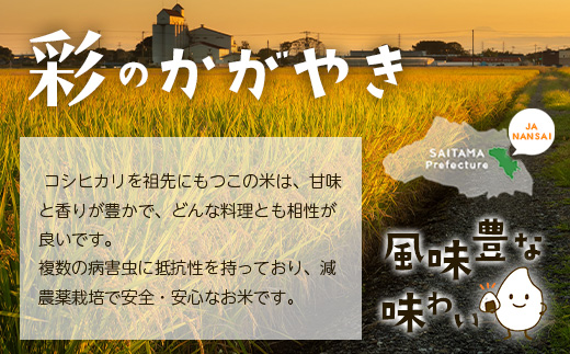 ＜令和7年産＞「彩のきずな・彩のかがやき」10kg(5kg×2袋・精米)　【11246-0283】