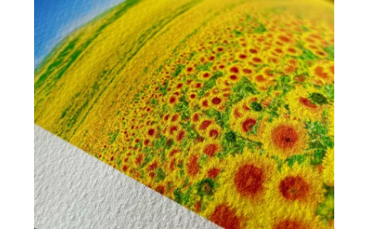 版画 絵画 名画 ひまわり(1888) フィンセント・ファン・ゴッホ 　LL 【11246-0287】