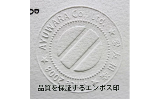 版画 絵画 名画 カーネーション、リリー、リリー、ローズ(1885-1886) ジョン・シンガー・サージェント　M   【11246-0298】