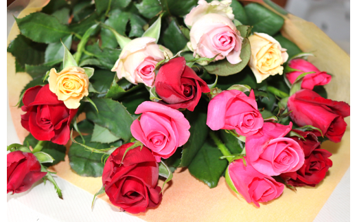 【約15本×6カ月】生産者直送　有機栽培で育った朝切りバラの花束　花の定期便　【11246-0338】 約15本×6カ月