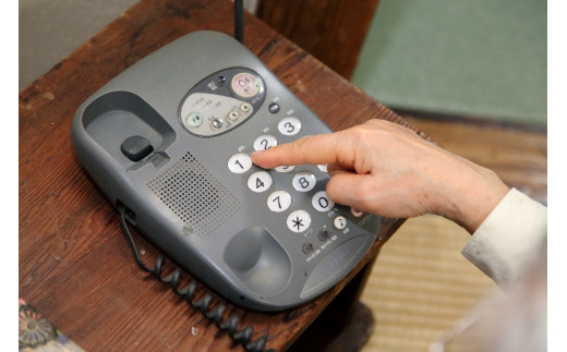 郵便局のみまもりでんわサービス(固定電話3か月コース)　【11246-0129】 でんわサービス(固定電話3か月コース)