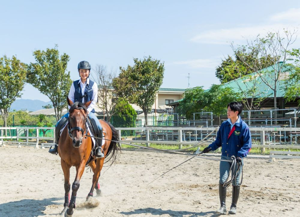 乗馬体験１回コース【東武乗馬クラブ＆クレイン】【11246-0206】
