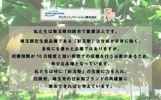 彩玉梨のスイーツ2種セット フィナンシェ3個 プチガトー3個　【11246-0312】