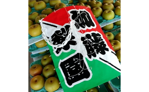 【2026年発送分 先行予約】加藤梨園の美味しい梨　約5kg　幸水・豊水・あきづき　【11246-0354】