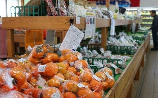 厳選・「おおばん市場」旬の野菜詰め合わせ　毎月1回1年間お届け定期便　【11246-0173】