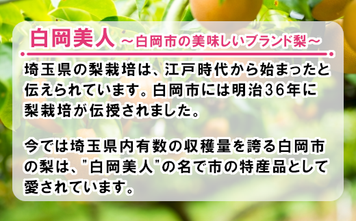 【2026年発送分 先行予約】加藤梨園の美味しい梨　約5kg　幸水・豊水・あきづき　【11246-0354】