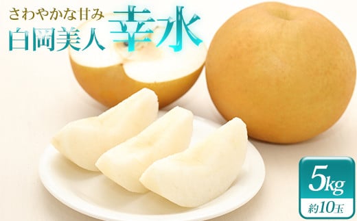 小川なし園の梨　幸水　5kg　【11246-0274】