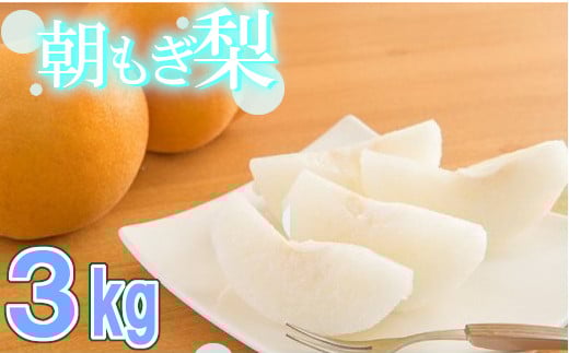 【2026年発送分 先行予約】100年の歴史！！　アライファームの「朝もぎ梨」幸水・豊水・あきづき 約3kg　【11246-0352】