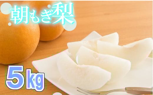 【2026年発送分 先行予約】100年の歴史！！　アライファームの「朝もぎ梨」幸水・豊水・あきづき 約5kg　【11246-0353】