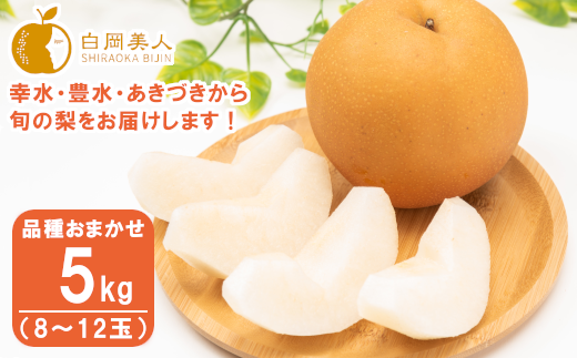 【2026年発送分 先行予約】折原梨園のおいしい梨　約5kg　幸水・豊水・あきづき　【11246-0356】